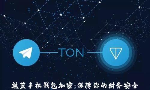 
魅藍(lán)手機(jī)錢包加密：保障你的財務(wù)安全