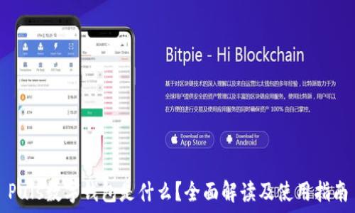   
Puls數(shù)字錢包是什么？全面解讀及使用指南