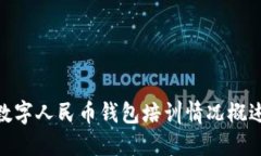 數字人民幣錢包培訓情況