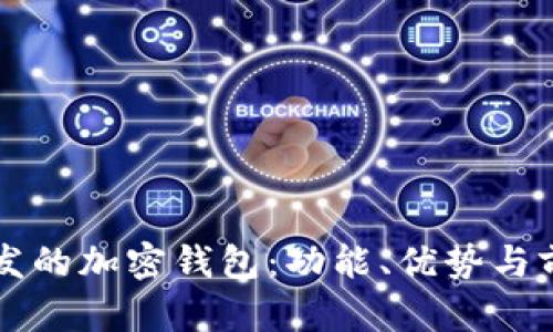 國內(nèi)開發(fā)的加密錢包：功能、優(yōu)勢與前景分析