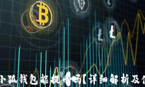 
中本聰小狐錢包能提幣嗎？詳細(xì)解析及使用指南