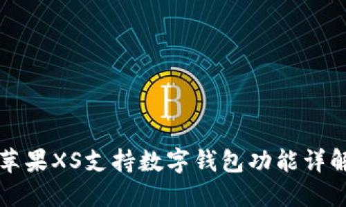 蘋果XS支持?jǐn)?shù)字錢包功能詳解