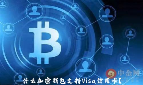 
什么加密錢包支持Visa信用卡？