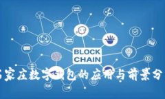 石家莊數(shù)字錢包的應(yīng)用與