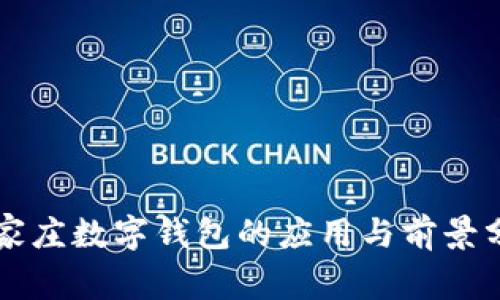 石家莊數(shù)字錢包的應(yīng)用與前景分析