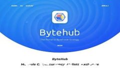 數(shù)字錢(qián)包儲(chǔ)存：安全性與