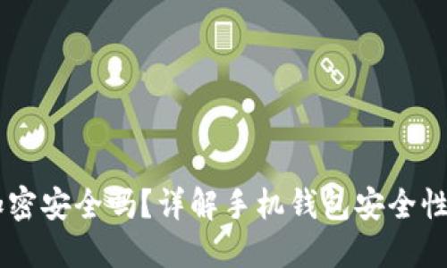 手機(jī)錢(qián)包加密安全嗎？詳解手機(jī)錢(qián)包安全性的方方面面