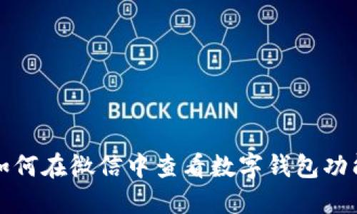 如何在微信中查看數(shù)字錢(qián)包功能