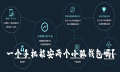 一個(gè)手機(jī)能安兩個(gè)小狐錢(qián)