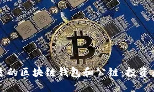 如何選擇合適的區(qū)塊鏈錢包和公鏈：投資者的詳盡指南