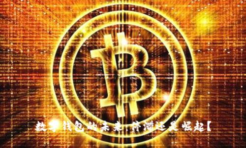 數(shù)字錢包的未來：停滯還是崛起？