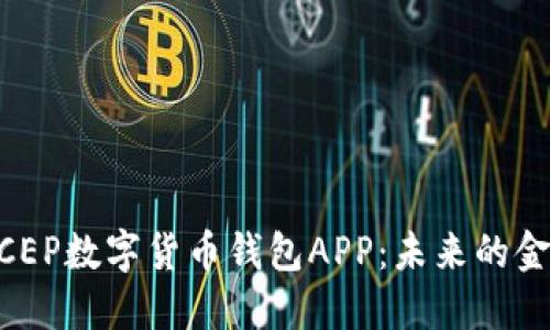 了解DCEP數(shù)字貨幣錢包APP：未來的金融工具