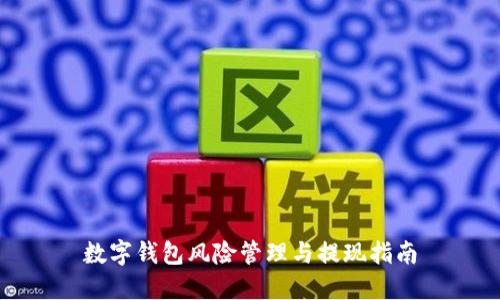 數(shù)字錢包風(fēng)險(xiǎn)管理與提現(xiàn)指南