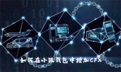 如何在小狐錢包中增加C