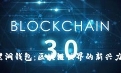  黑洞錢(qián)包：區(qū)塊鏈?zhǔn)澜绲? class=