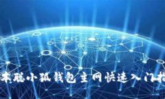 中本聰小狐錢包主網(wǎng)快速